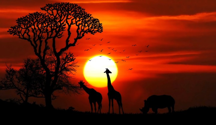 sun set