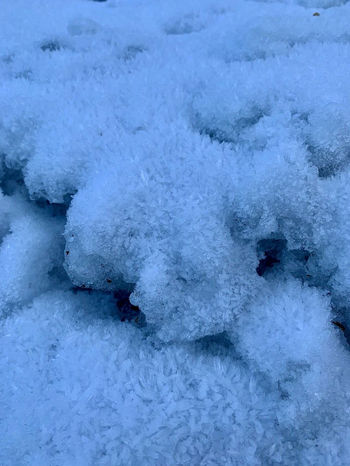 frozzzen