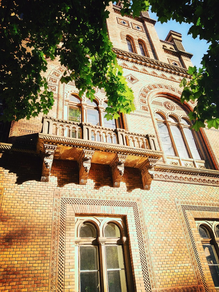 university, Chernivtci