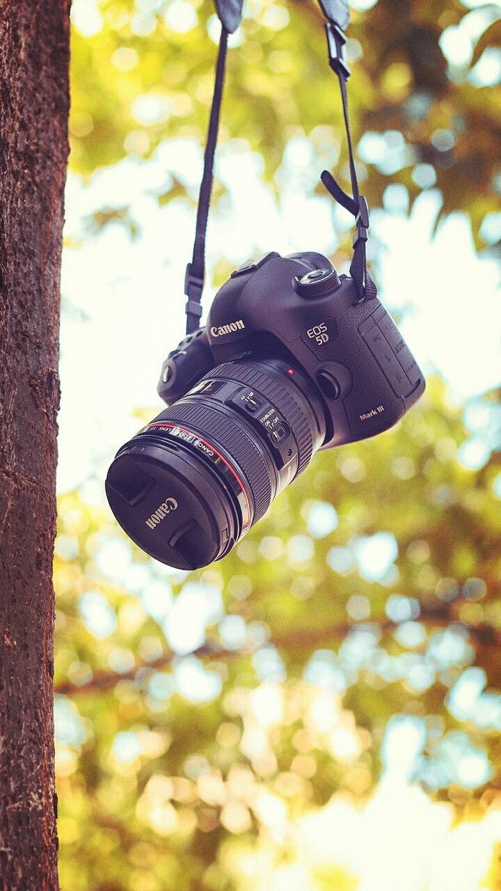 camera