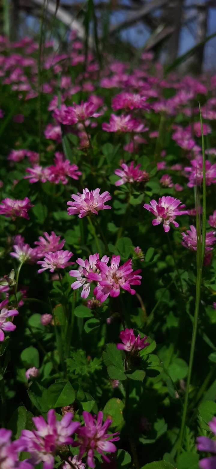 #spring#vibes