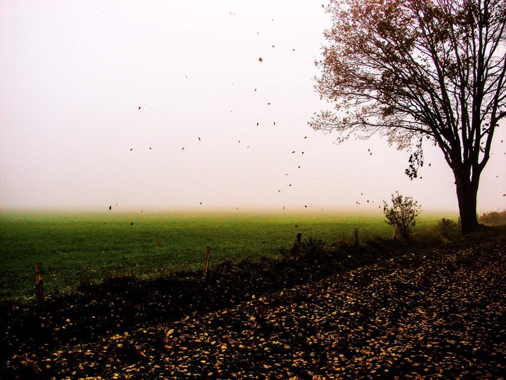 along the way