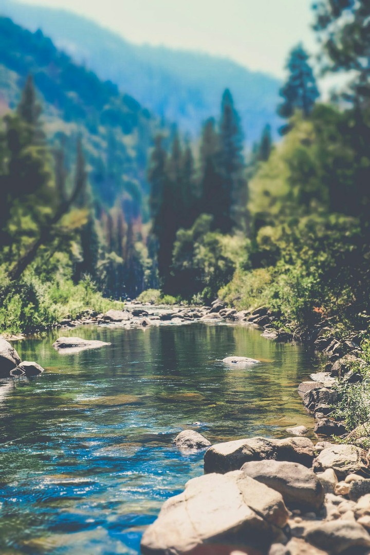 Beautiful Morning Nature