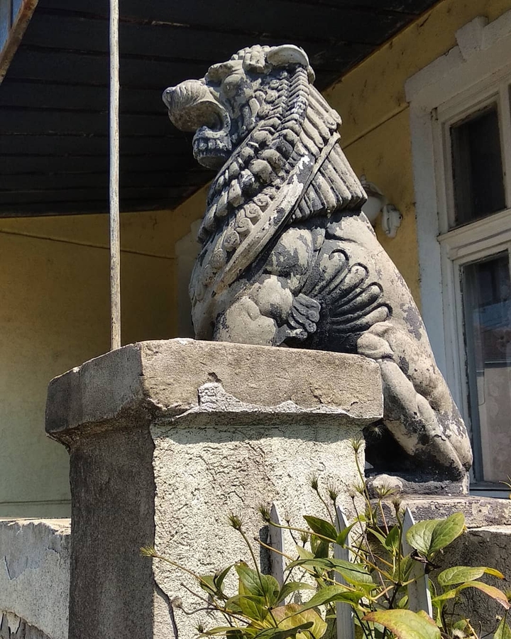 lion