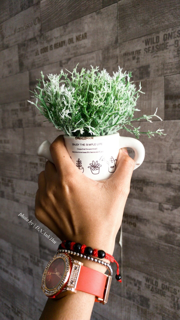 my flower