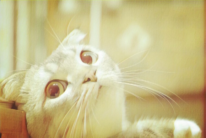 cuteee....