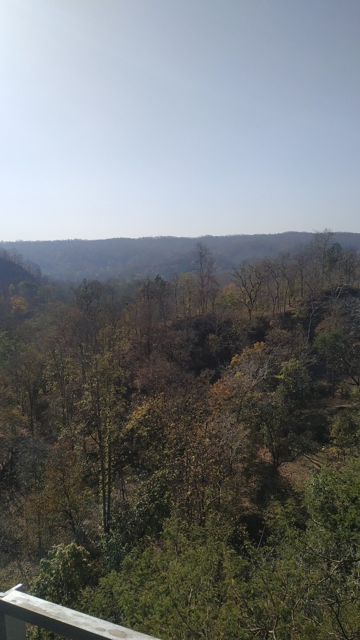 I love the nature and natural Beauty