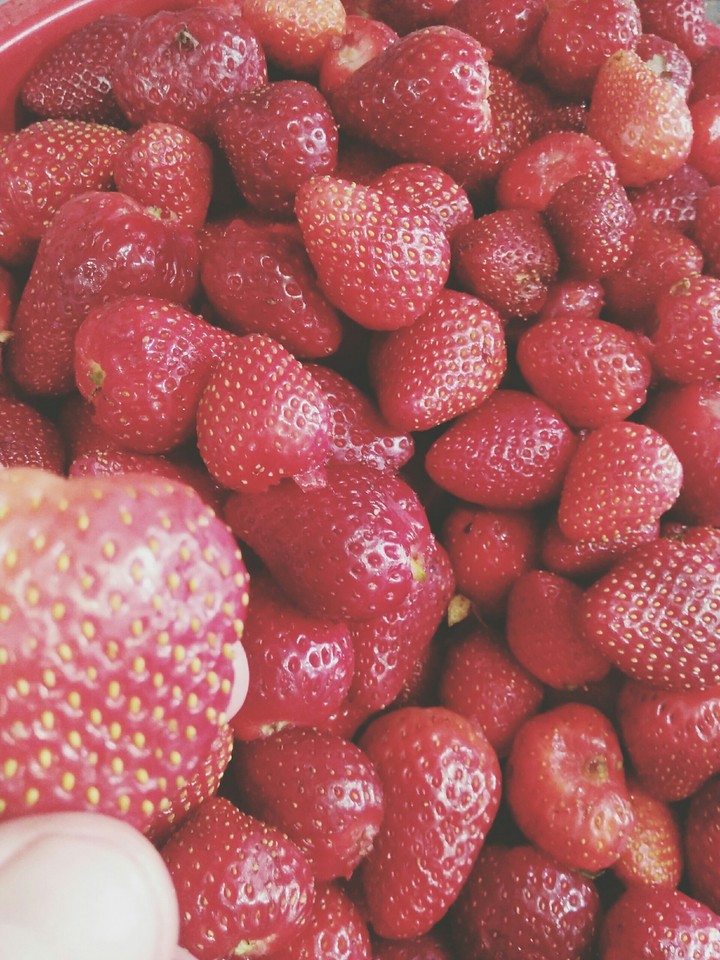 fruit