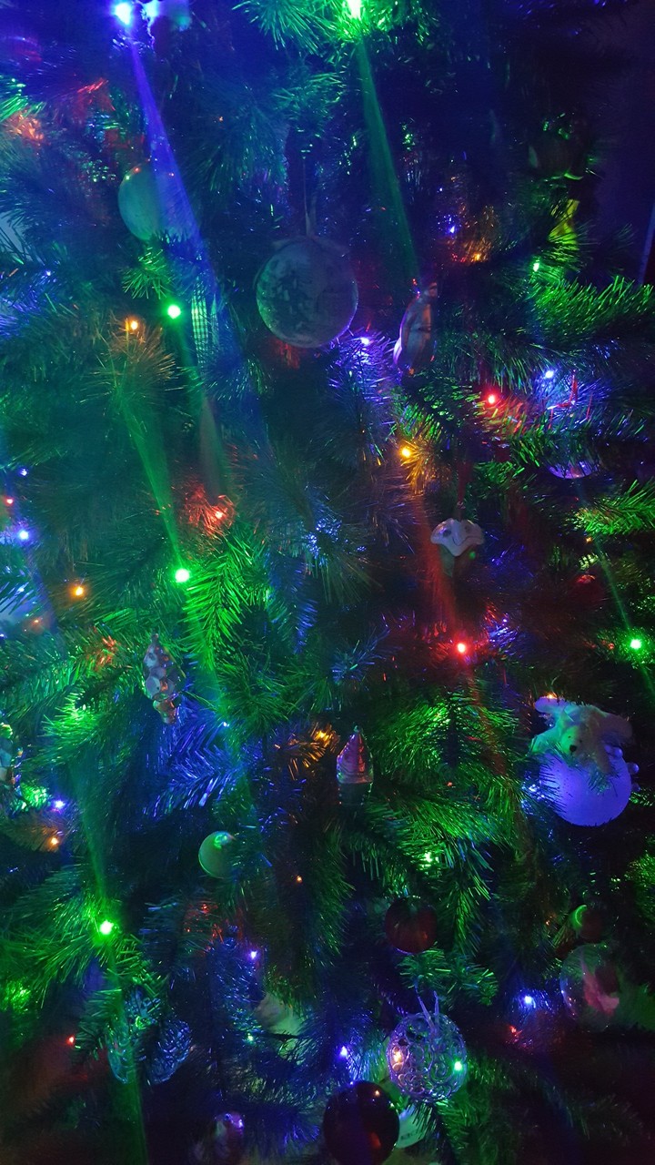 New Year