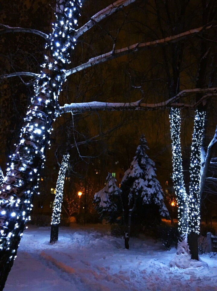 ❄❄❄