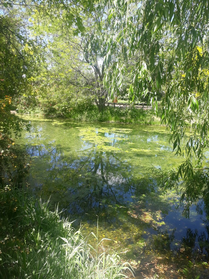 Doğa