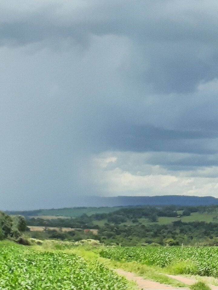 NATUREZA