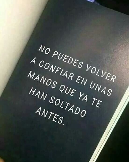 Toda la razón