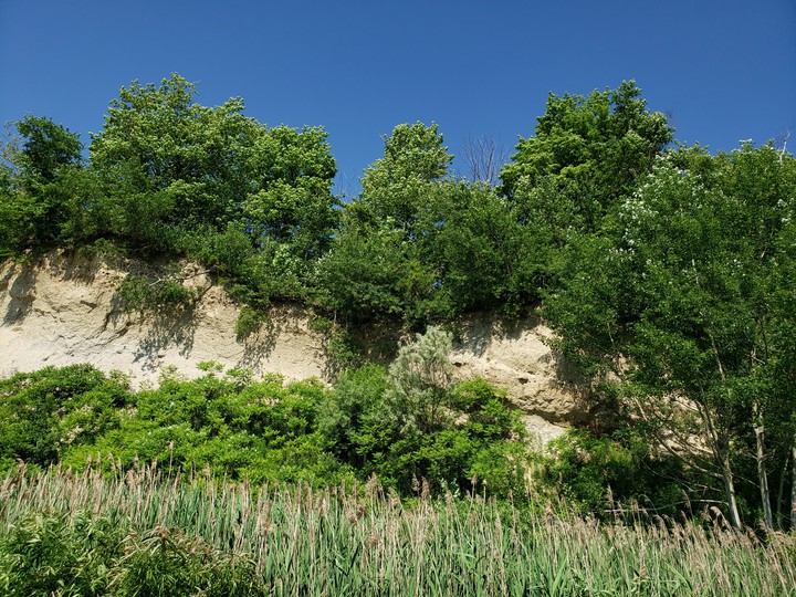 Scarborough Bluffs