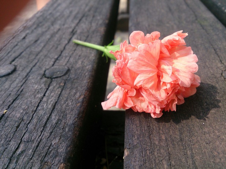花落