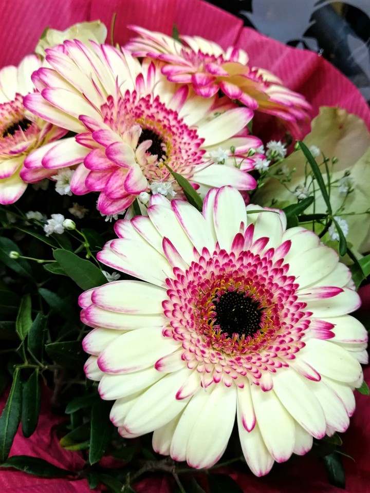 Blumen