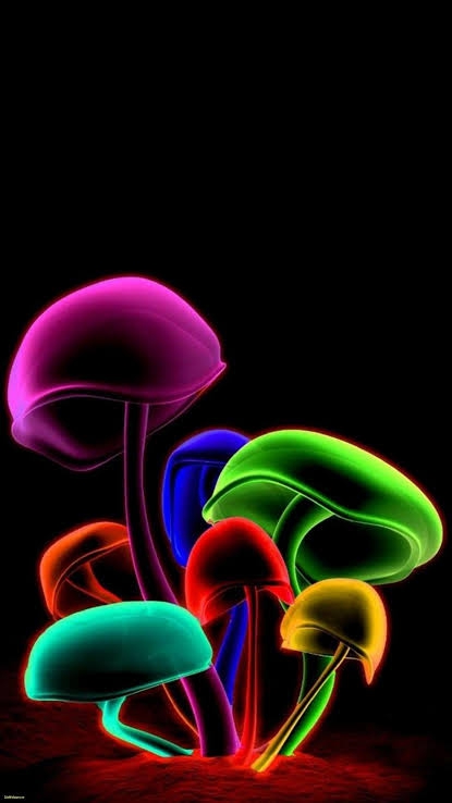 Colors