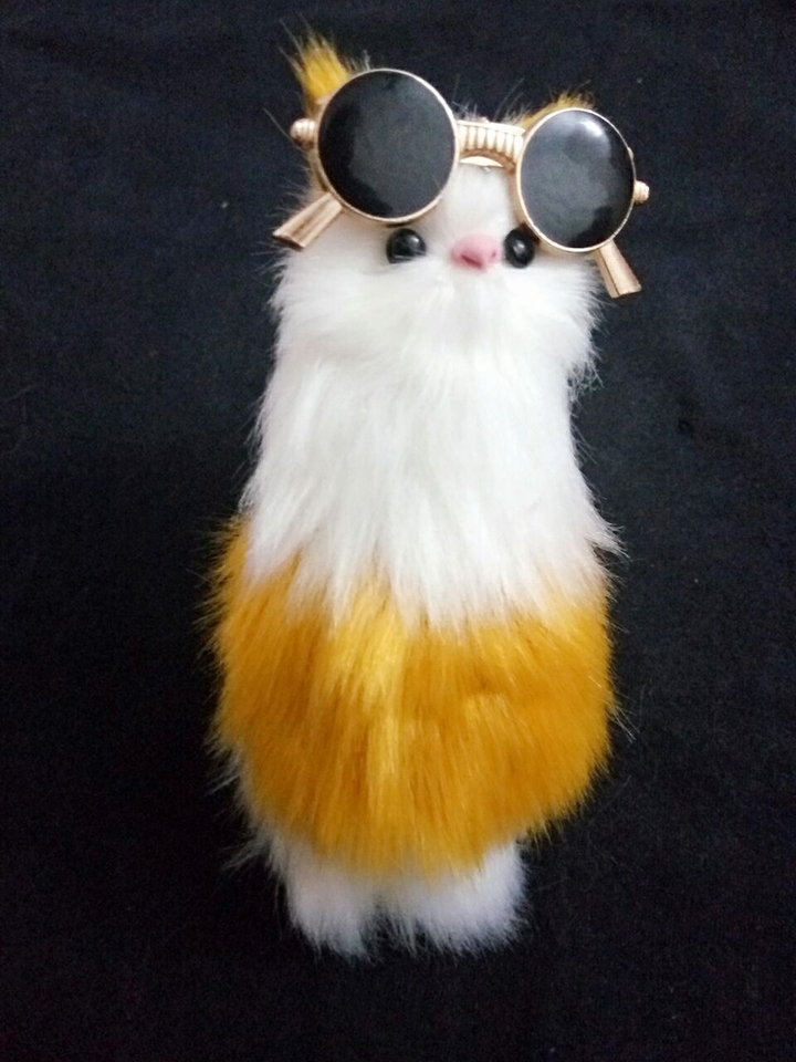 lovely kitten 