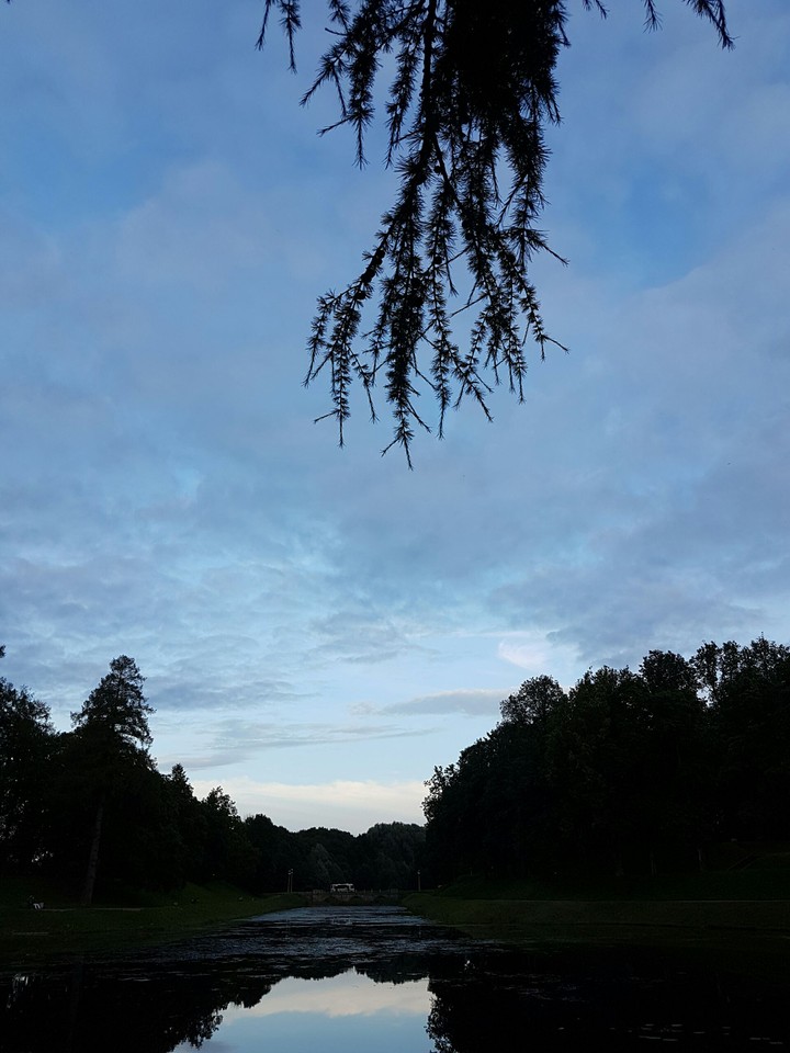 park