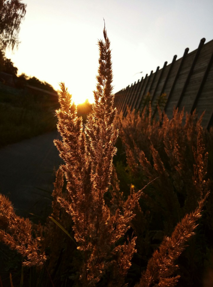 Autumn is here.
