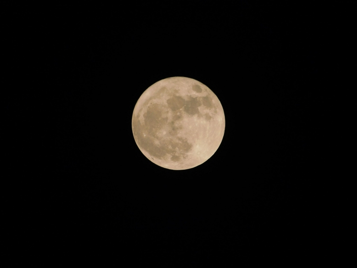 #full moom