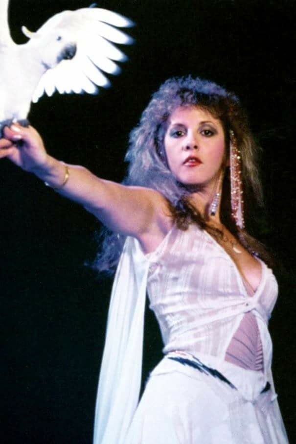Stevie Nicks