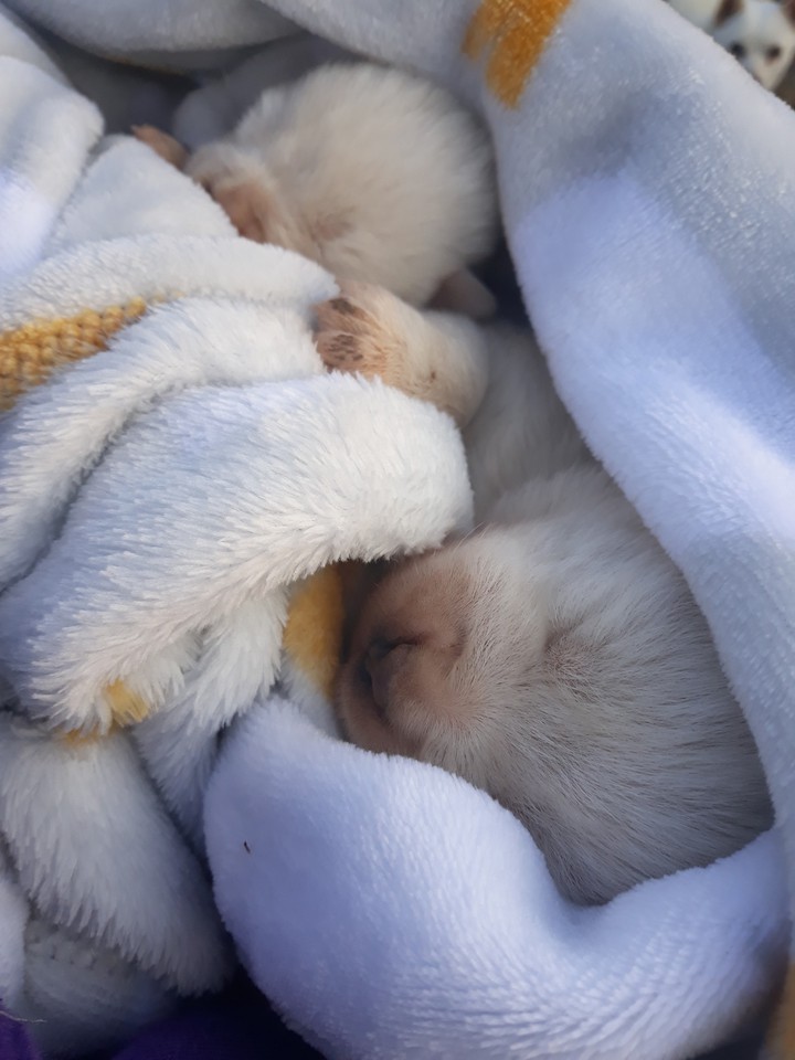 cute??