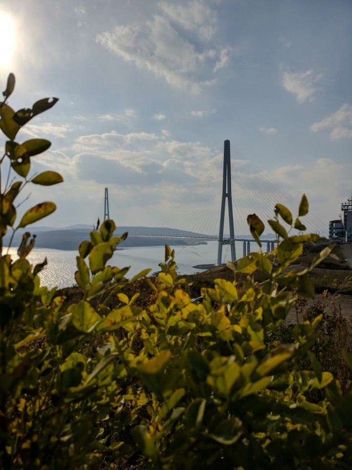 Bridge