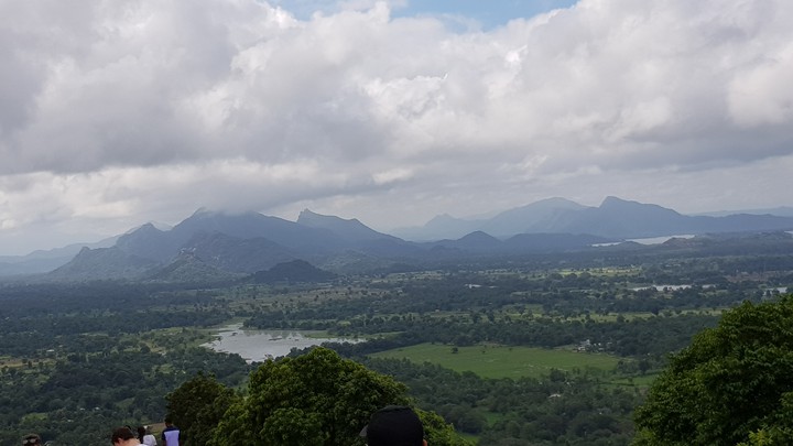 view