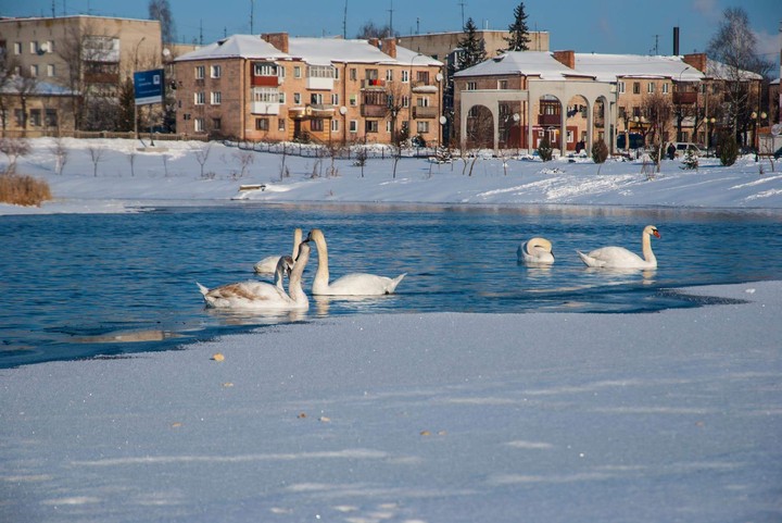 winter