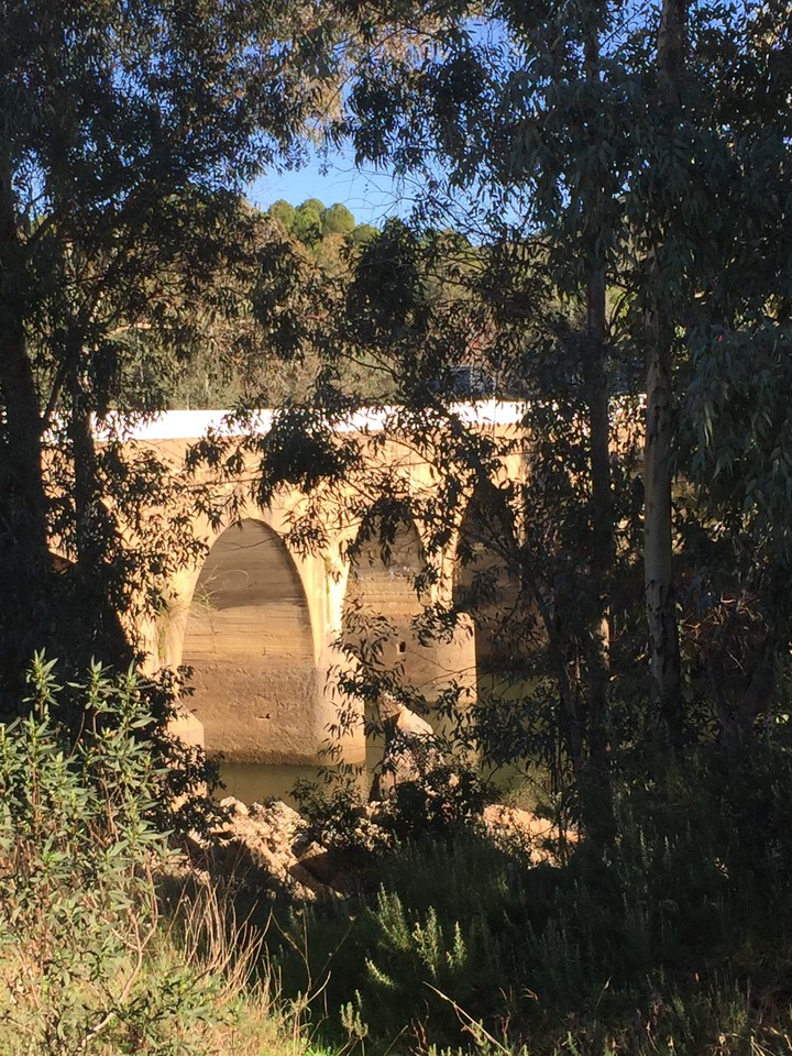 puente de ojos