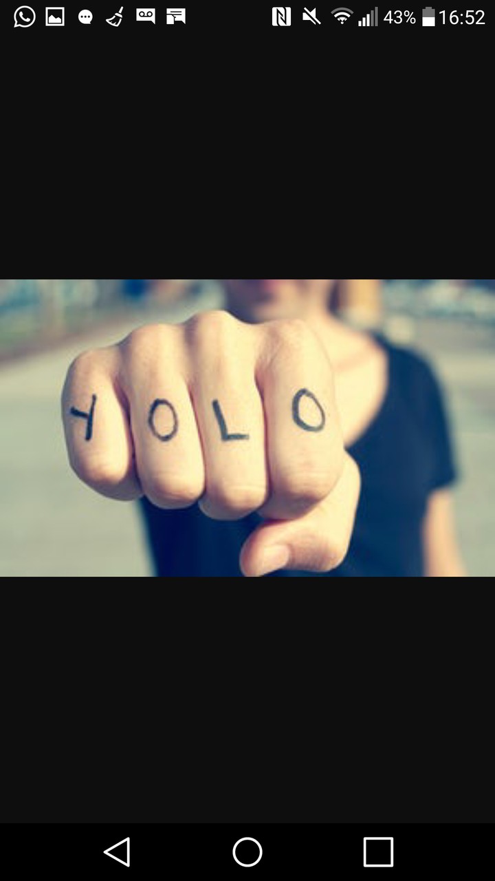 yolo