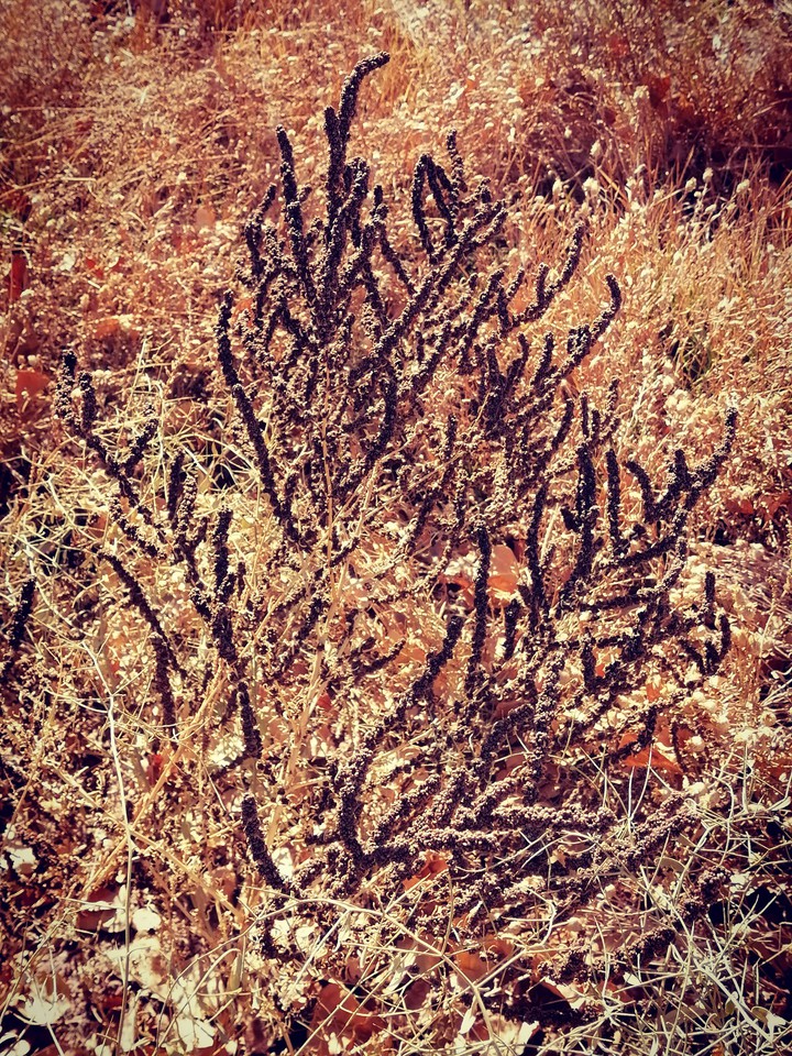 The End of Autumn