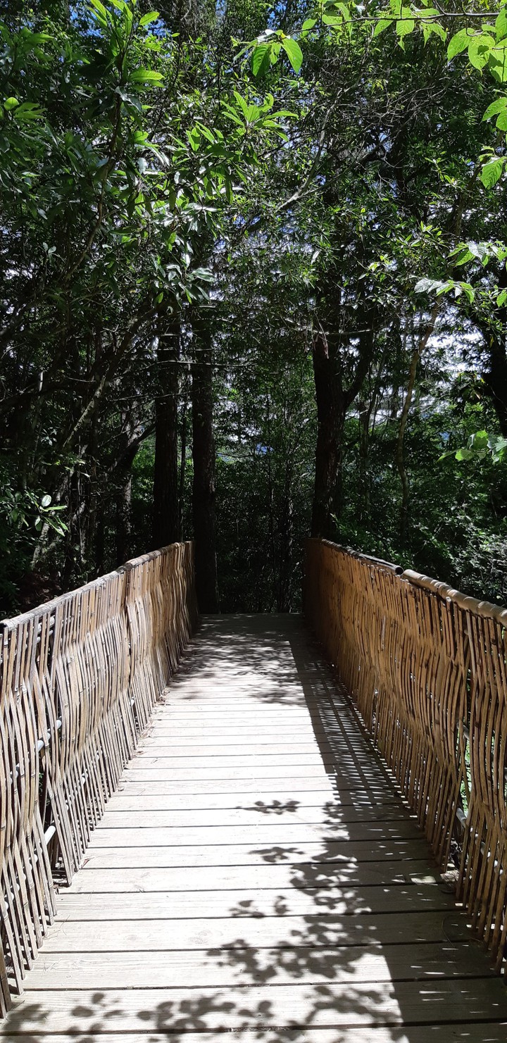 In mountain