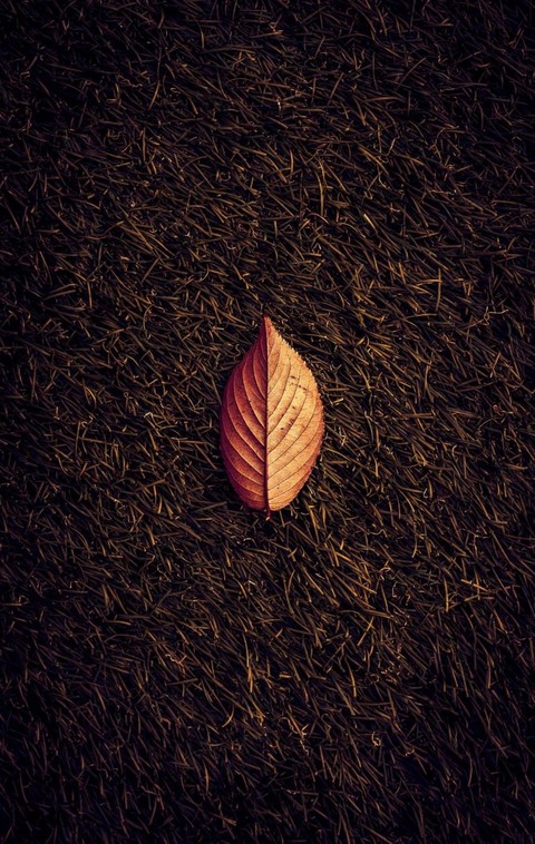 loneliness
