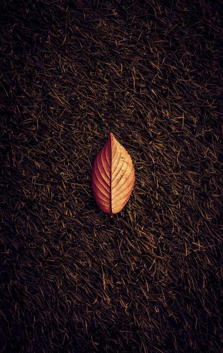 loneliness