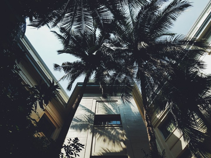 atrium