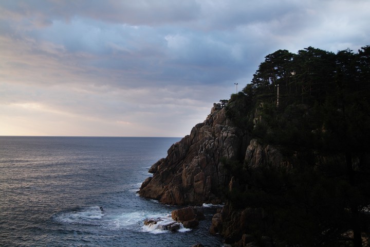 Scenics