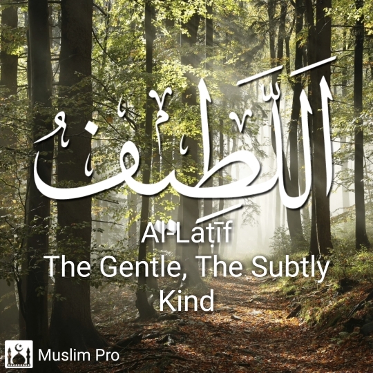 the gentle