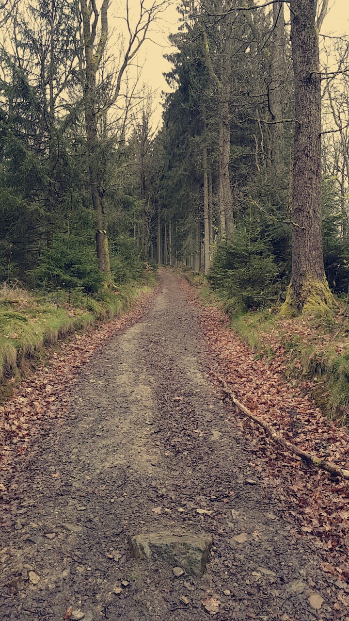 Nature
