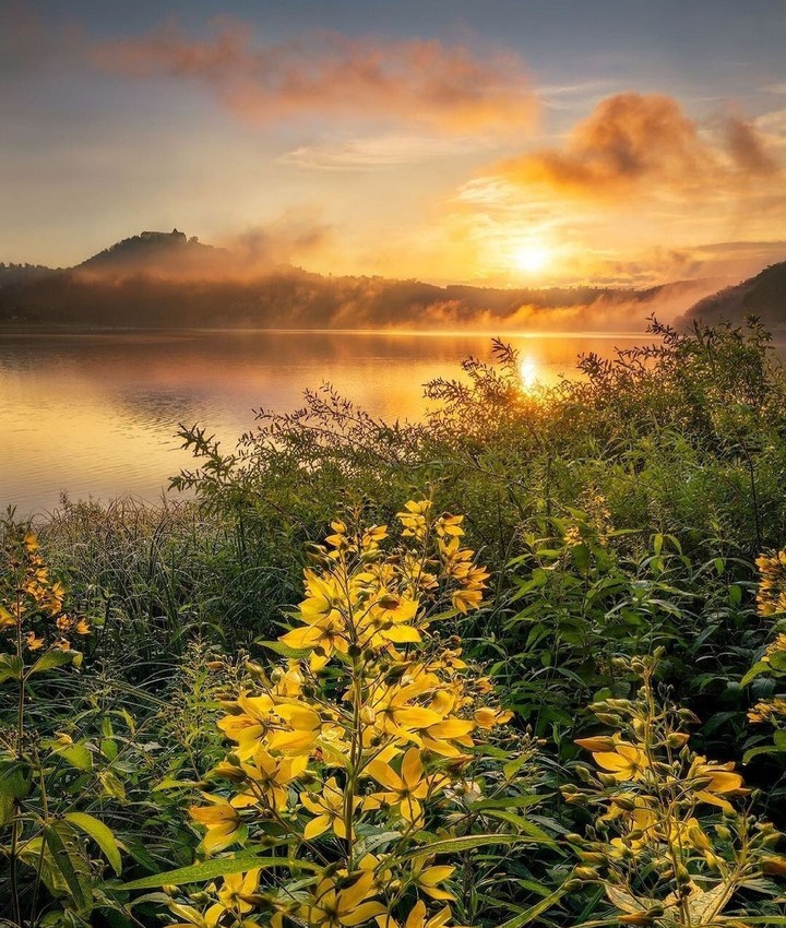Nature's Beauty