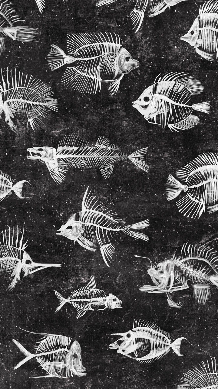 dead fish