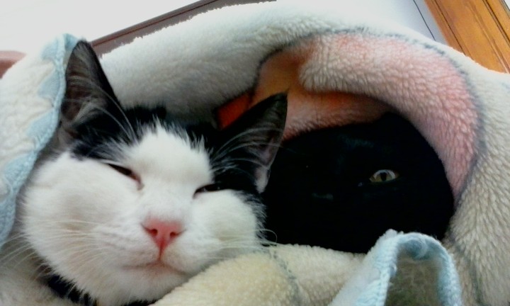 as meninas a dormir
