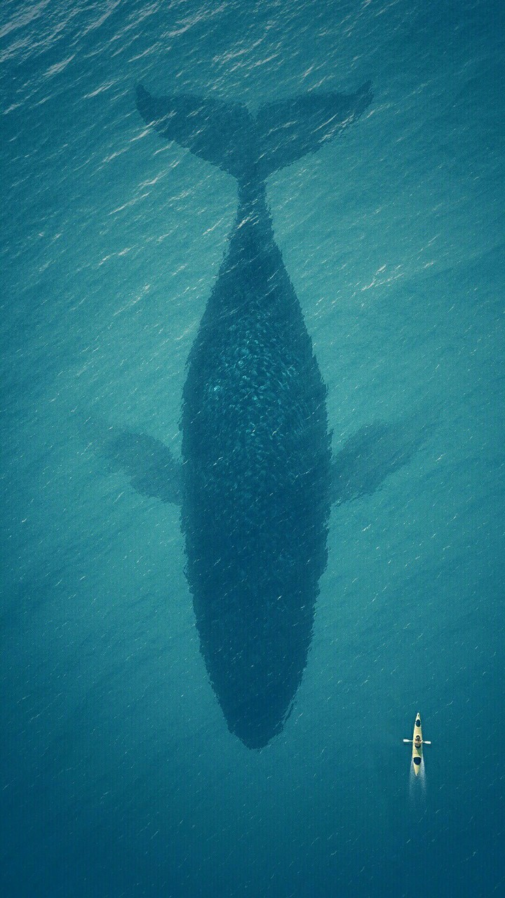 that's why I hate oceans 