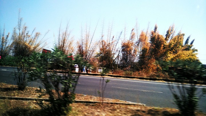 Beside of road