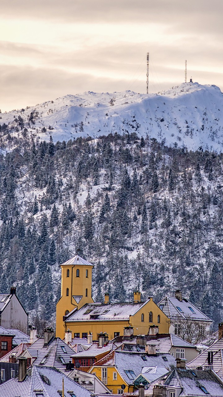 Winter