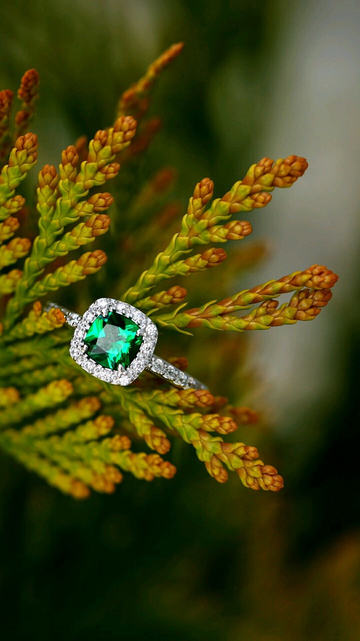 Beautiful ring 