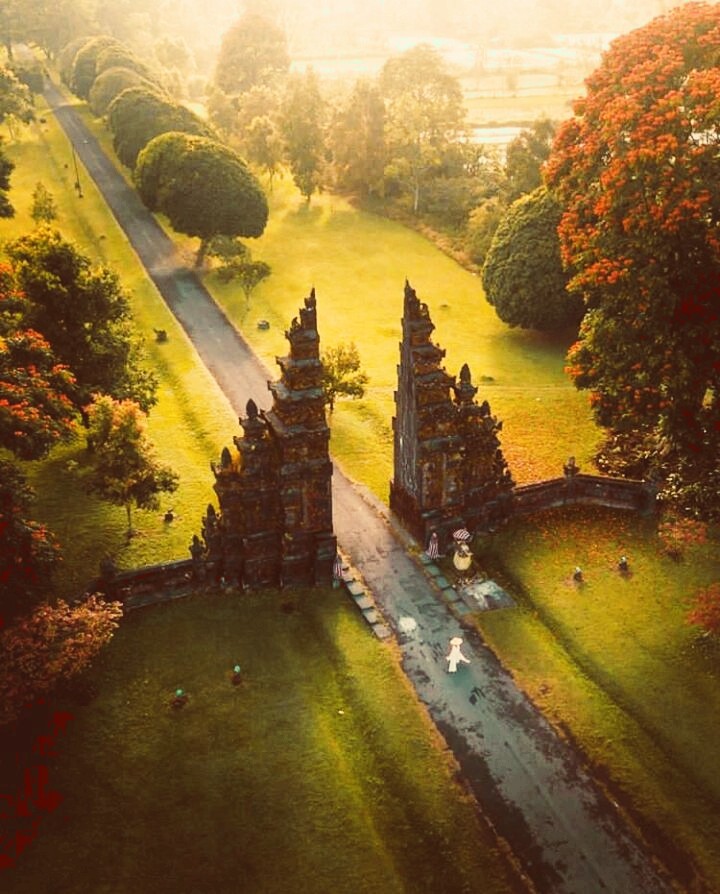 view