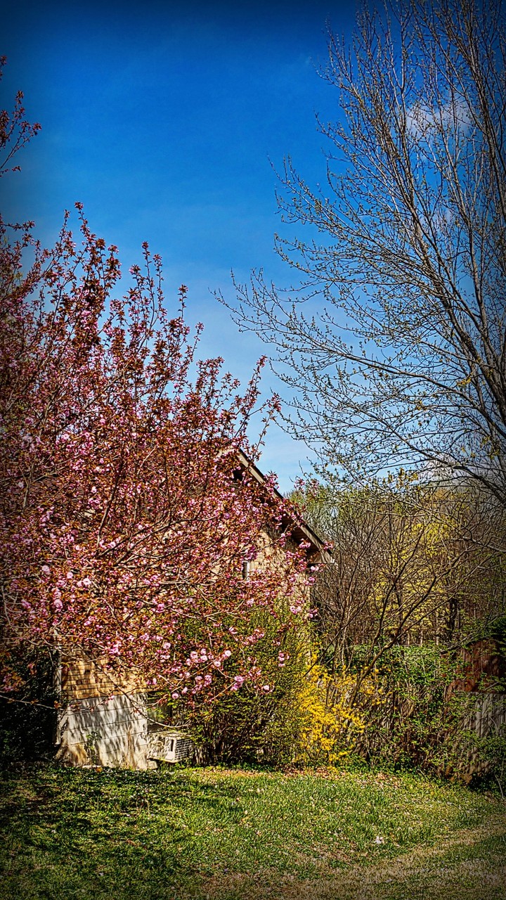 Spring