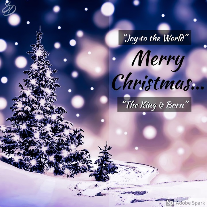 Merry Christmas